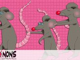 Ratten.jpg
